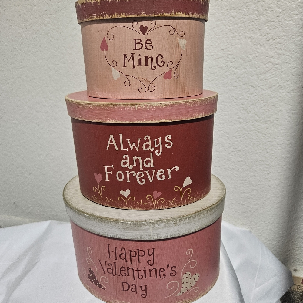 NWOT Nesting Baskets/bins/baskets